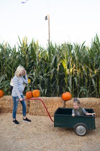 kailee-wright_pumpkin-patch