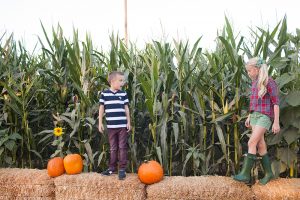 kailee-wright_pumpkin-patch