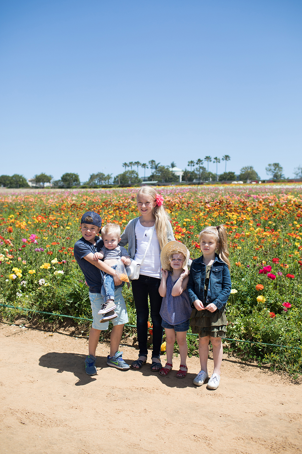 Kailee Wright_Bugaboo Bee 5 Flower Fields