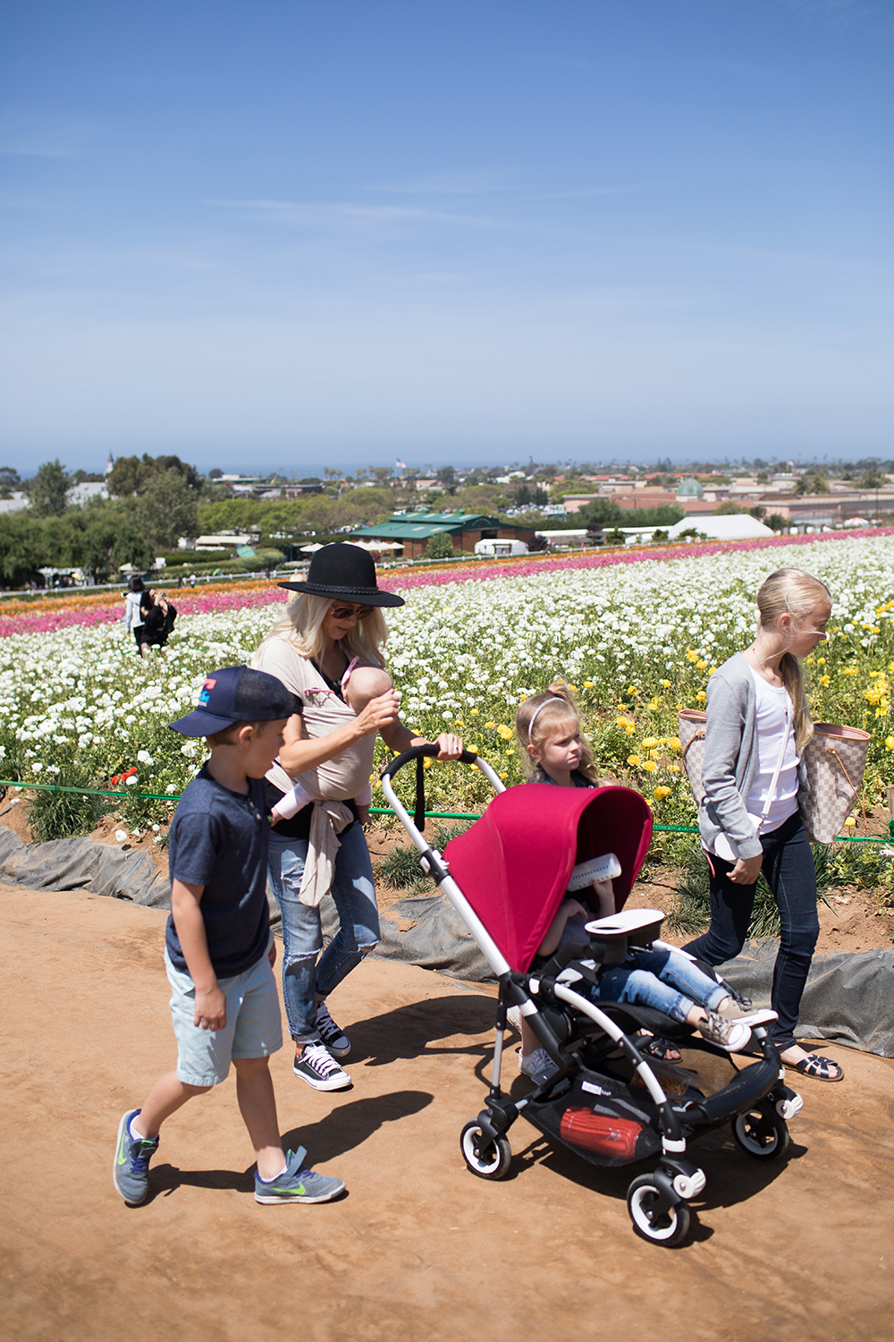 Kailee Wright_Bugaboo Bee 5 Flower Fields