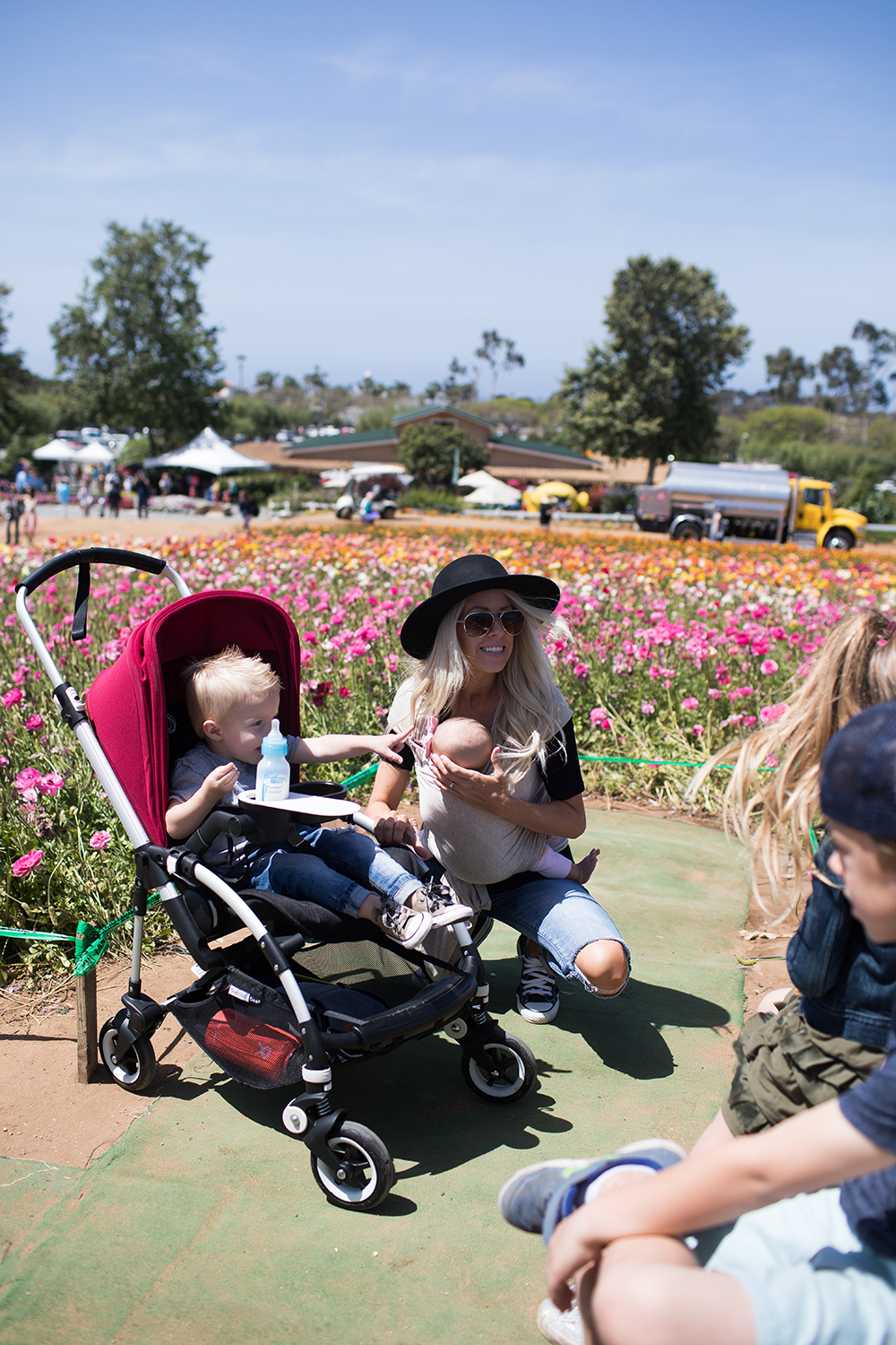 Kailee Wright_Bugaboo Bee 5 Flower Fields