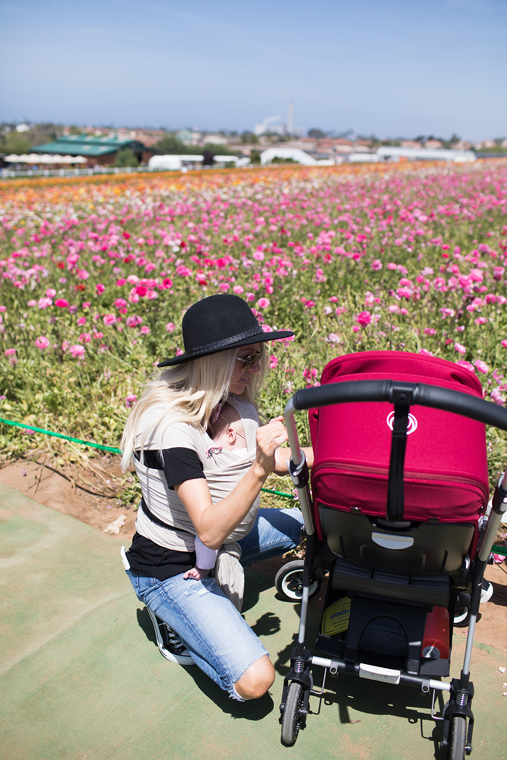 Kailee Wright_Bugaboo Bee 5 Flower Fields