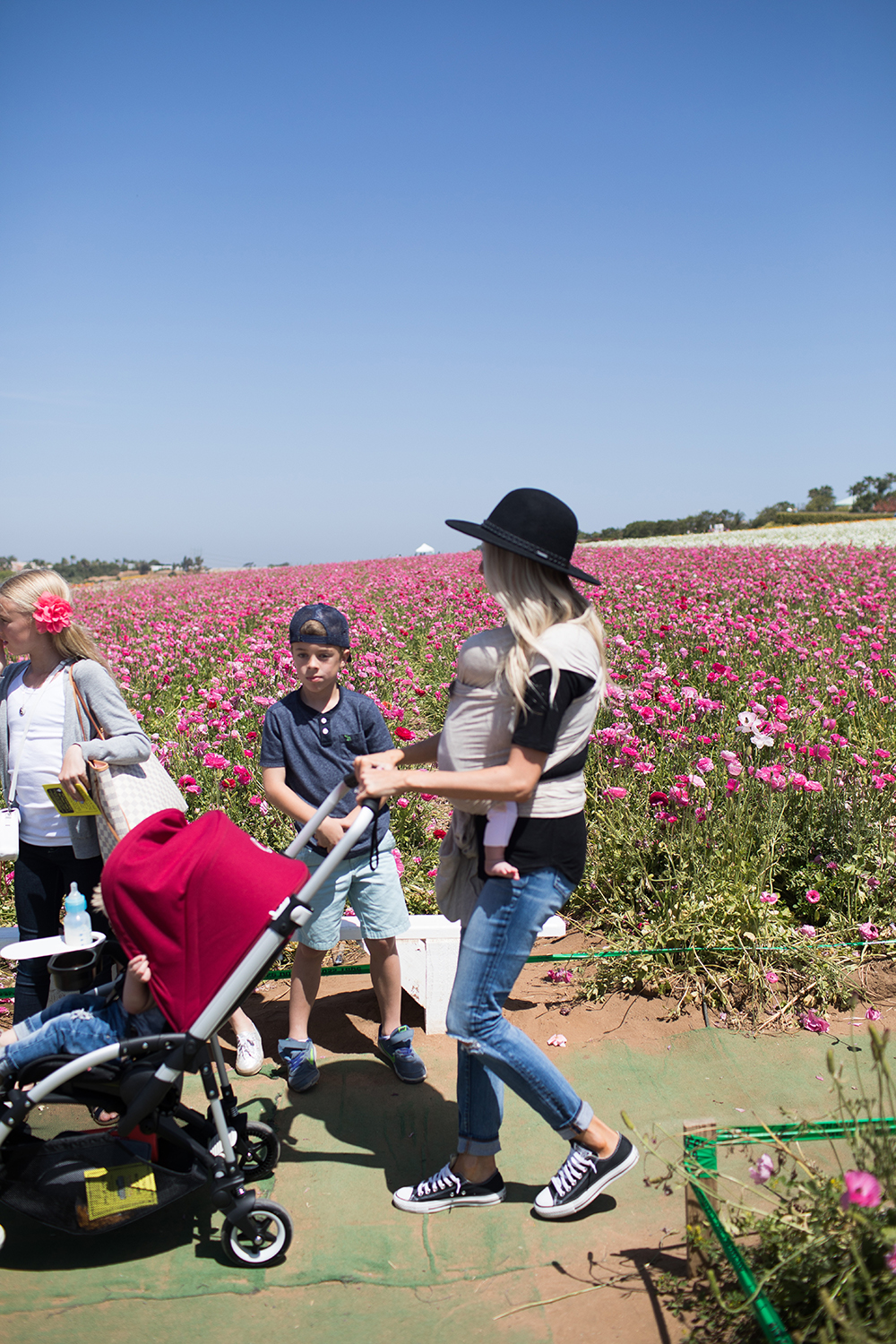 Kailee Wright_Bugaboo Bee 5 Flower Fields