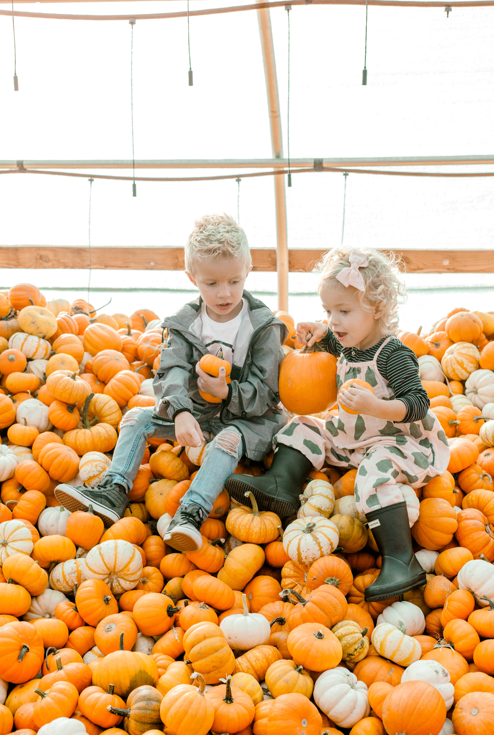 Kailee Wright Nordstrom kids pumpkin patch