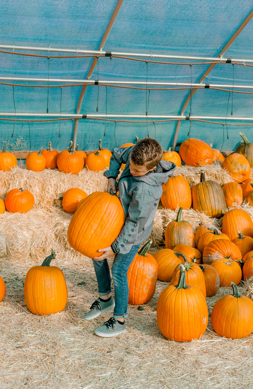 Kailee Wright Nordstrom kids pumpkin patch